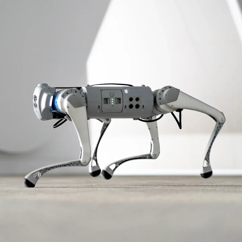 NoEnName Cyberdog bionic quadruped robot